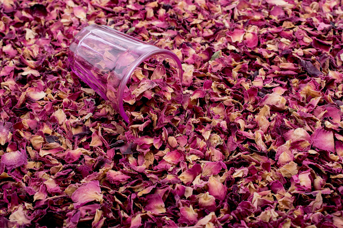 Damask Rose Petals