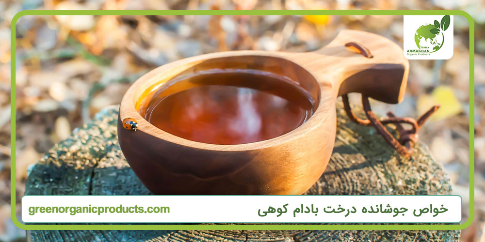 خواص جوشانده درخت بادام کوهی