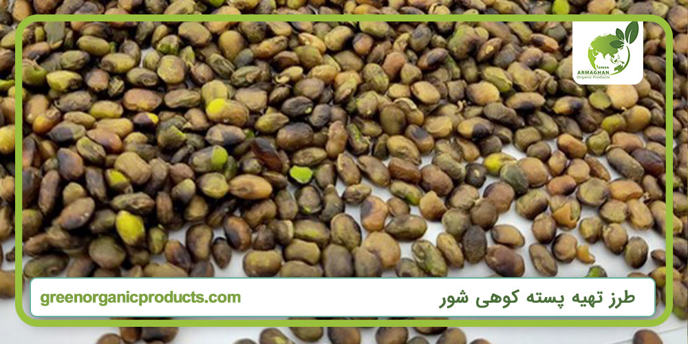 طرز تهیه پسته کوهی شور