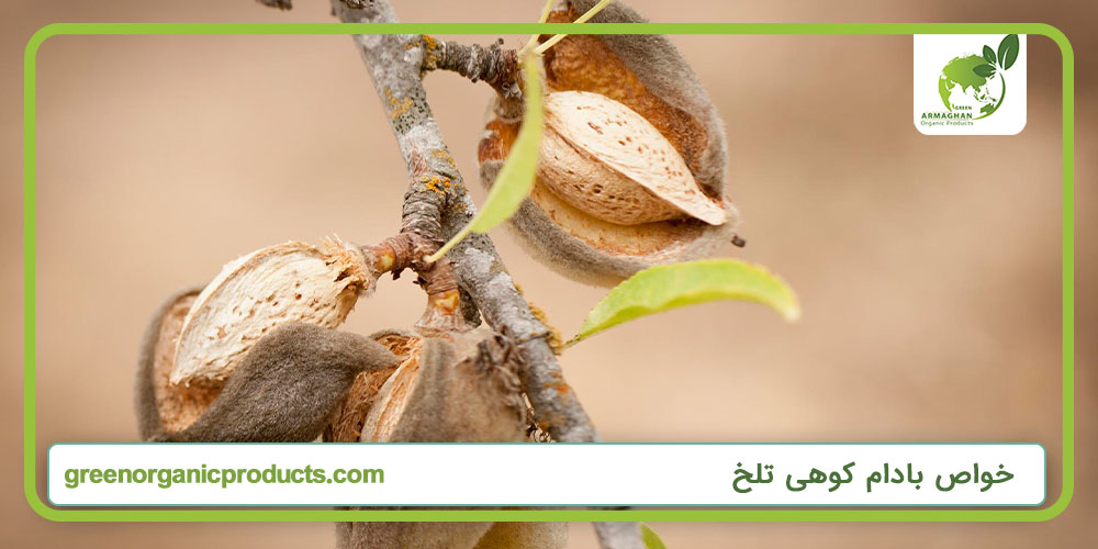 خواص بادام کوهی تلخ