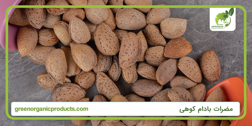 مضرات بادام کوهی