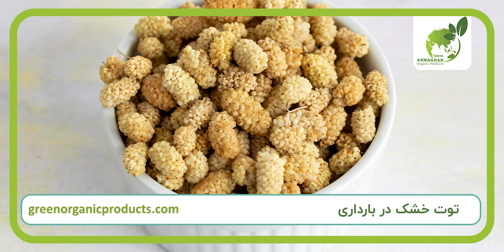 توت خشک در بارداری