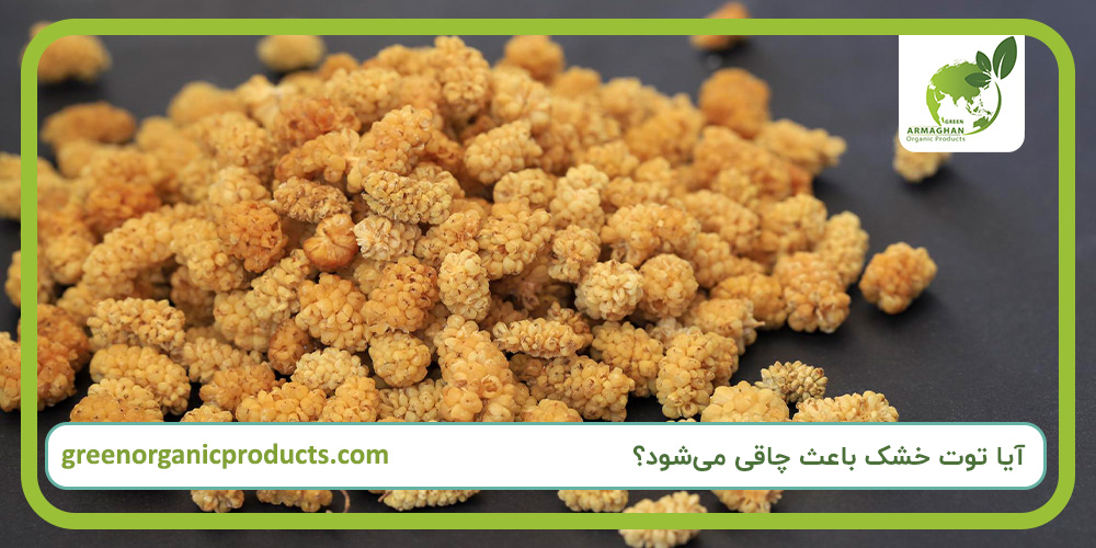 آیا توت خشک باعث چاقی می‌شود؟