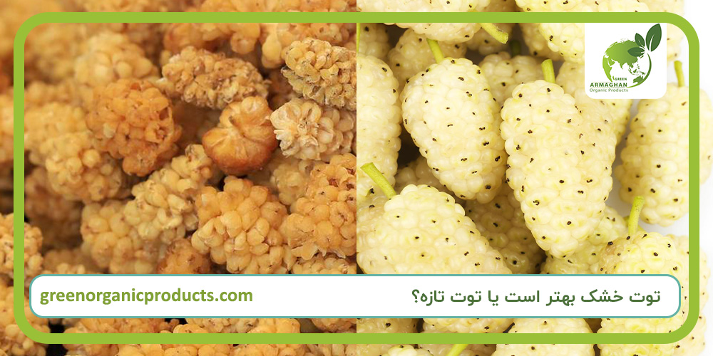 توت خشک بهتر است یا توت تازه؟