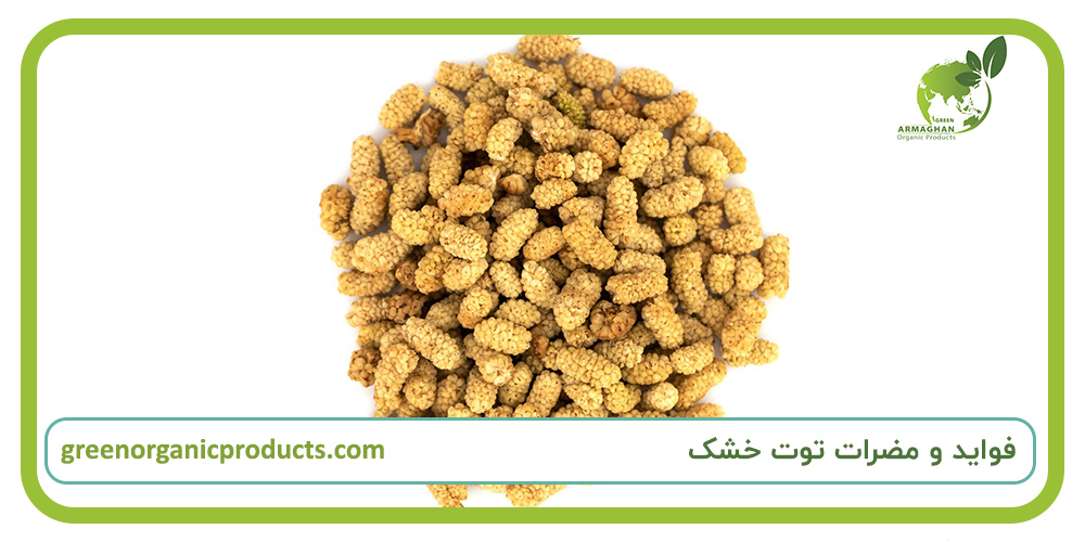فواید و مضرات توت خشک