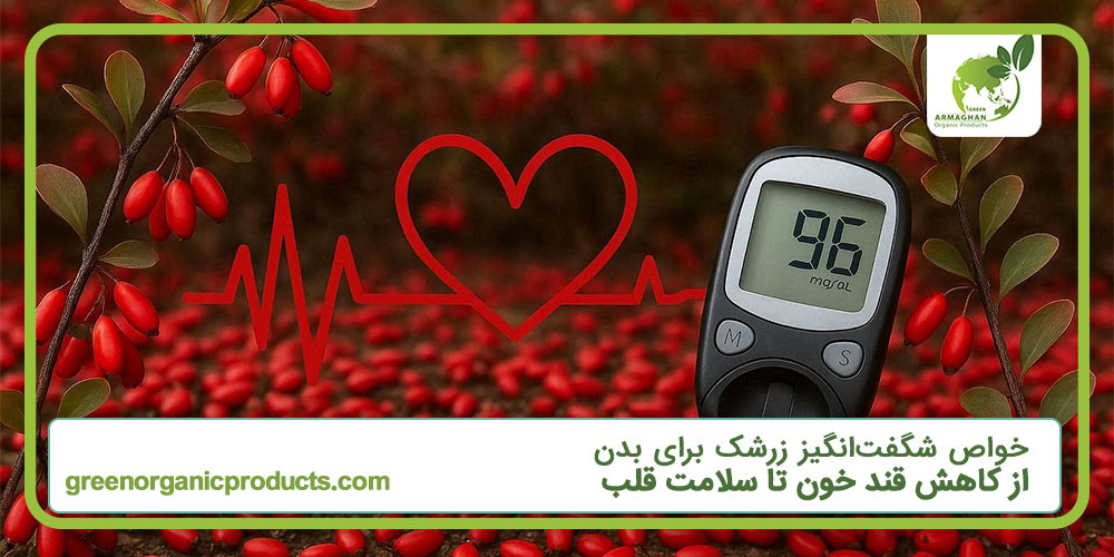 خواص شگفت‌انگیز زرشک برای بدن: از کاهش قند خون تا سلامت قلب