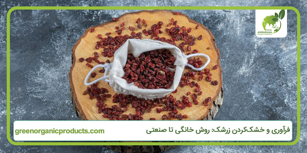 فرآوری و خشک‌کردن زرشک: روش خانگی تا صنعتی